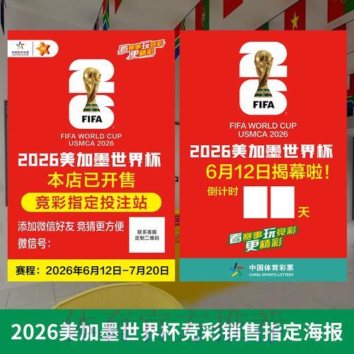 世界杯投注攻略：如何选择最佳方式