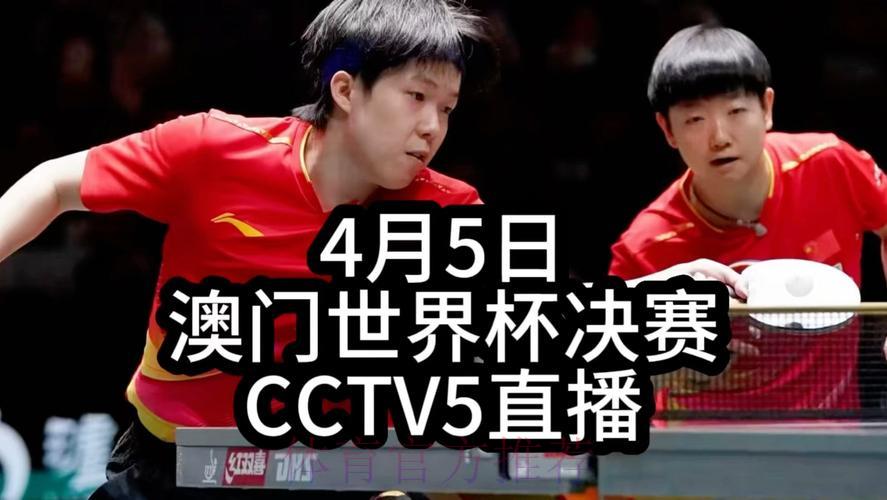 世界杯乒乓球精彩赛事全程直播